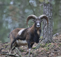 Marcel W., Winterthur