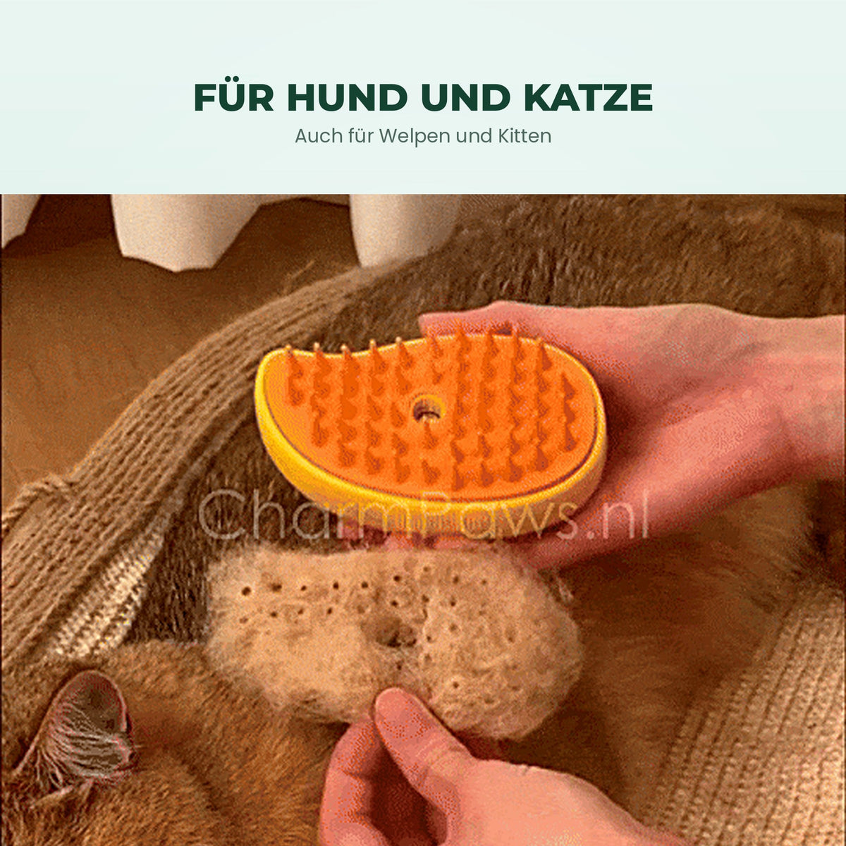 Sanuro AniBrush Sprühnebel-Fellbürste
