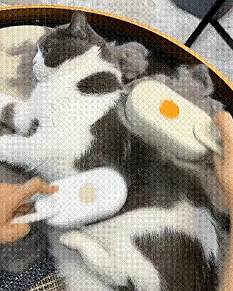 Für deine Katze
