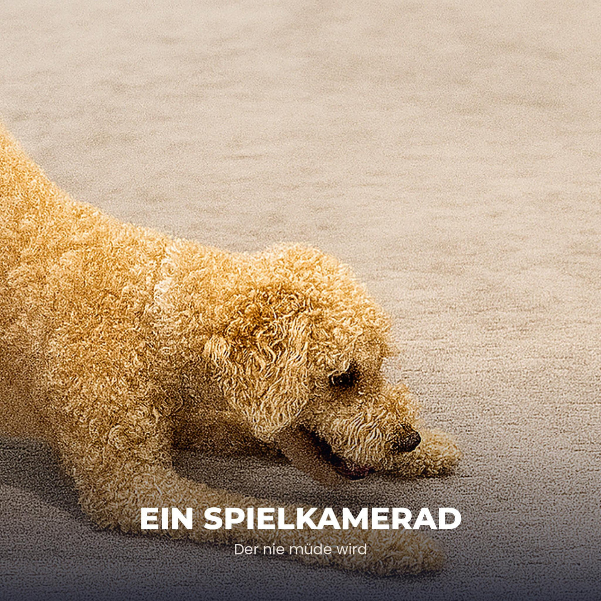 Sanuro RollBuddy Interaktiver Hundeball