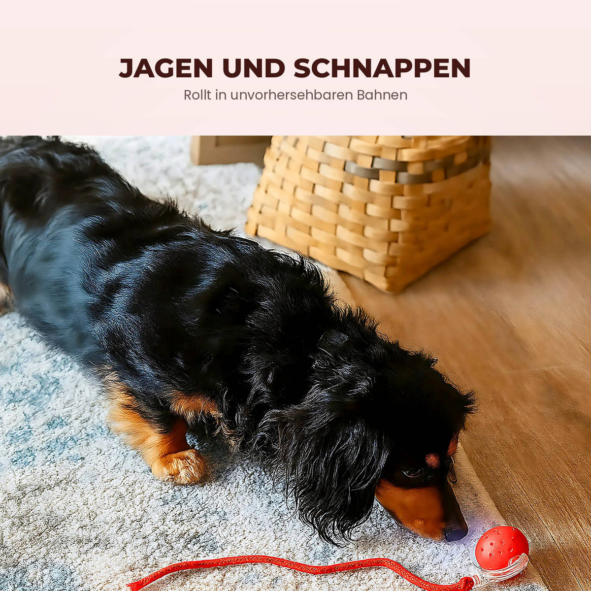 Sanuro RollBuddy Interaktiver Hundeball