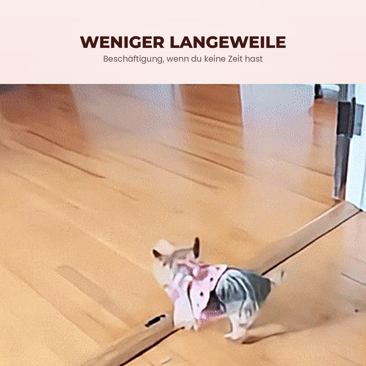Sanuro RollBuddy Interaktiver Hundeball